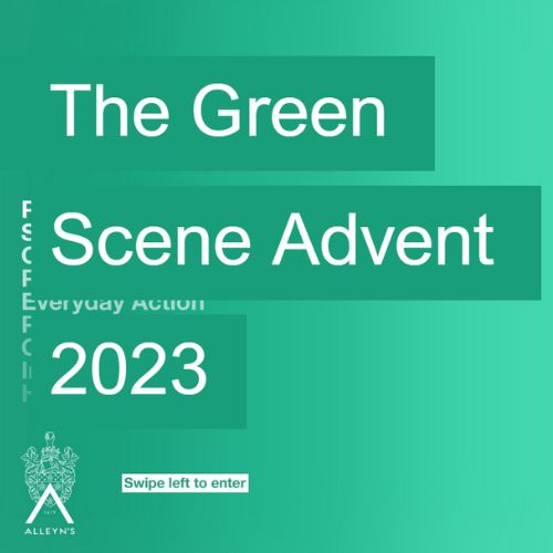 Advent term sustainability newsletter, Green Scene is now live!