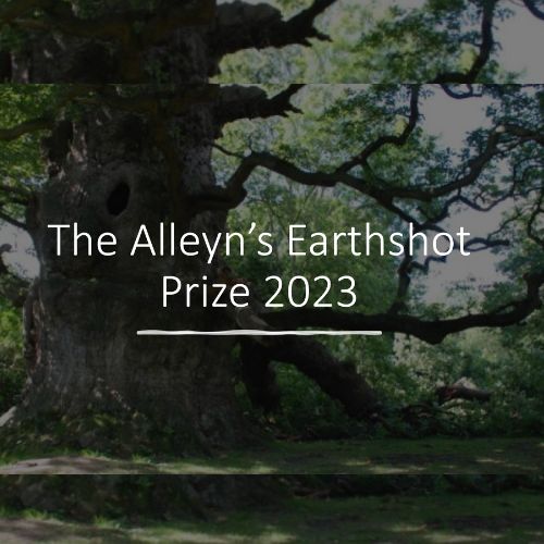 Earthshot Prizewinners Commended