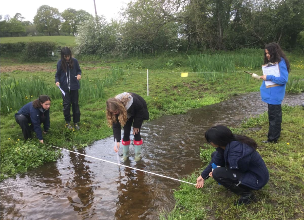 Geographers Take to The Tillingbourne