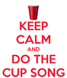 The Cup Song challenge!