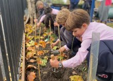 Sustainability in the Junior School