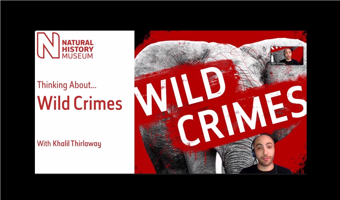 Wild Crimes