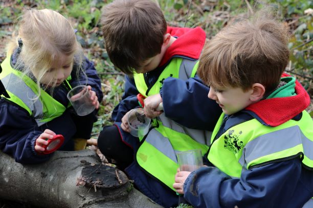 Reception get busy outdoors