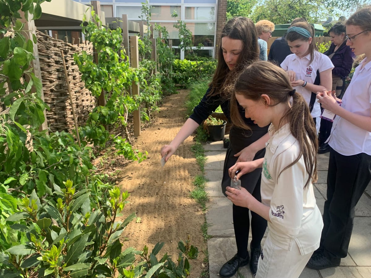 Superblooms in our Lower School Garden