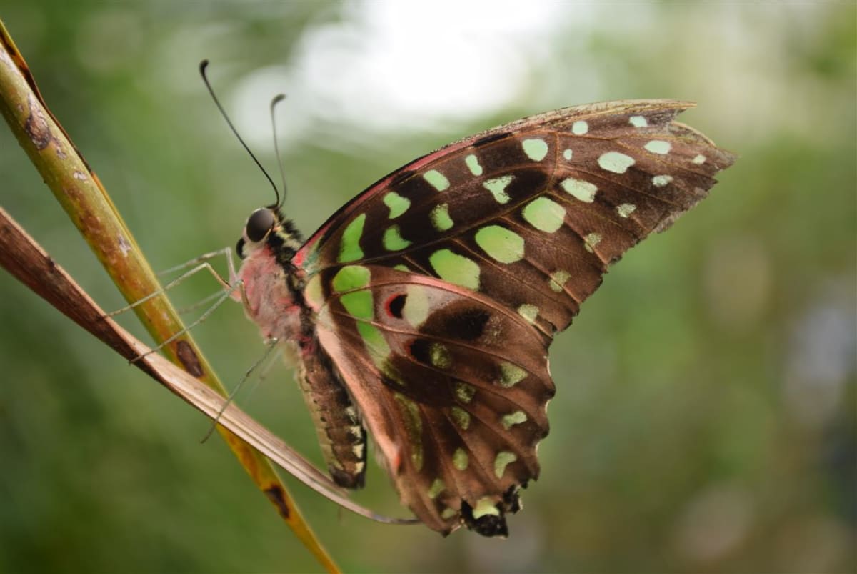 Happy in Nature Competition Winners